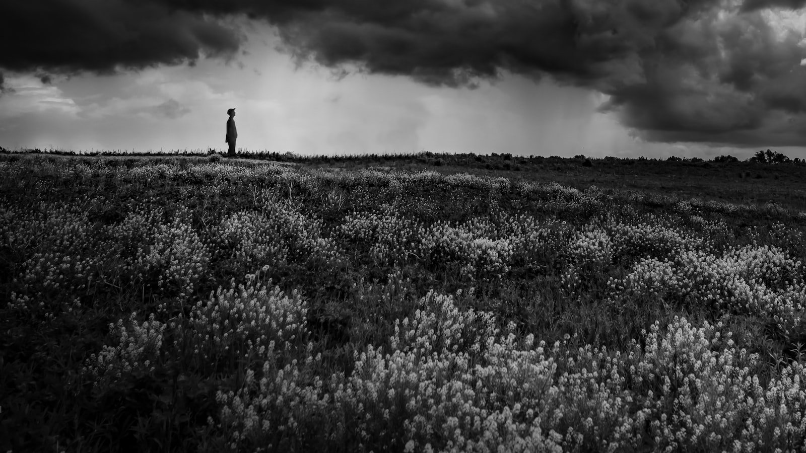Unlocking the Power ⁢of Mind and⁣ Body: Harnessing Psychological Techniques for‍ Male ⁤Enhancement