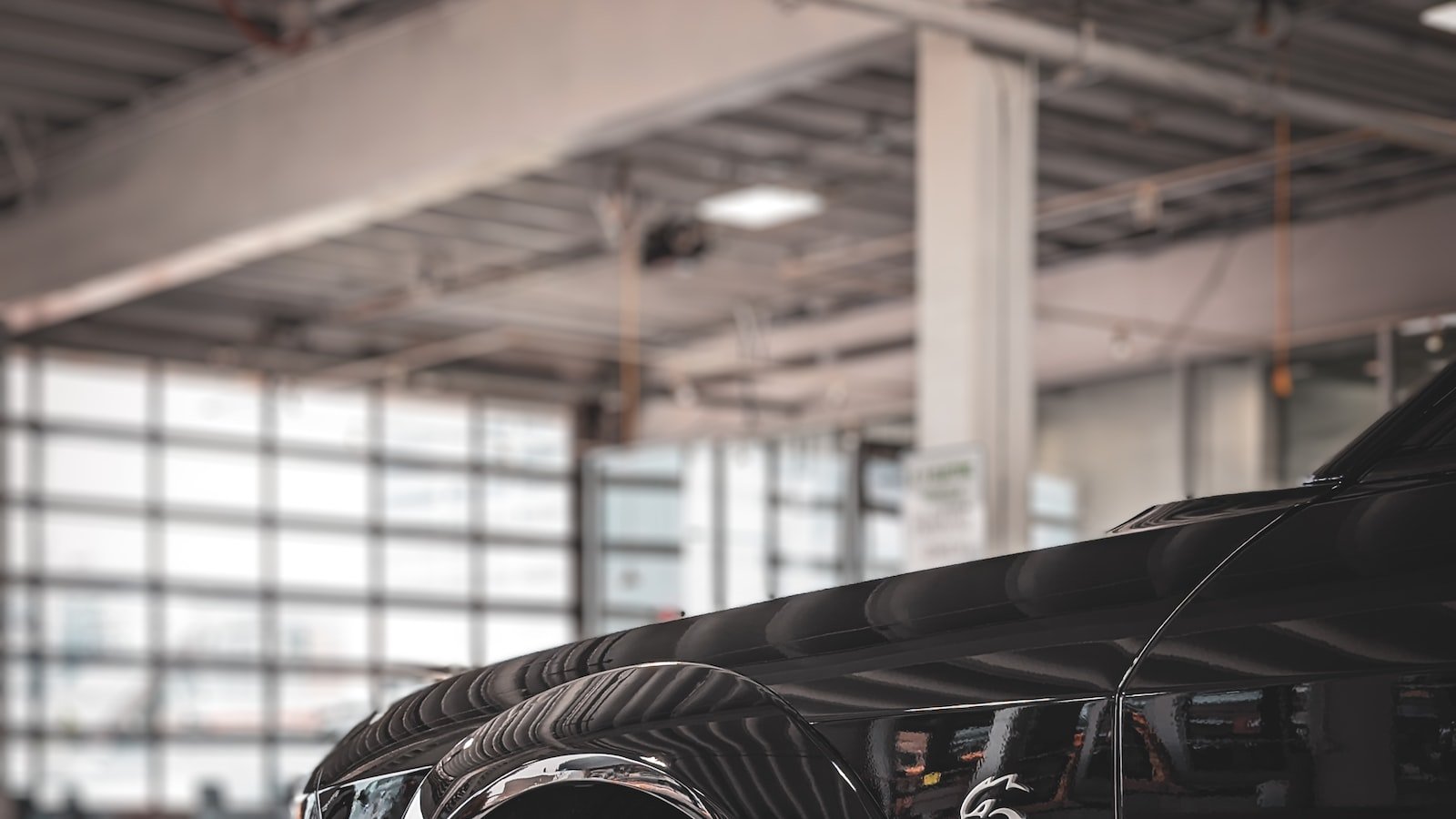 The Enigmatic Appeal of Bulges: Unraveling the Fascination Behind Eyebrow-Raising Shapes