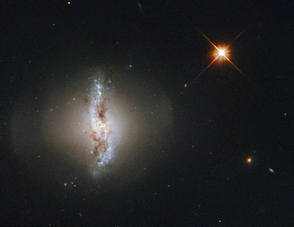 Unraveling the Mysterious Origins of the Peculiar 'Bulge'