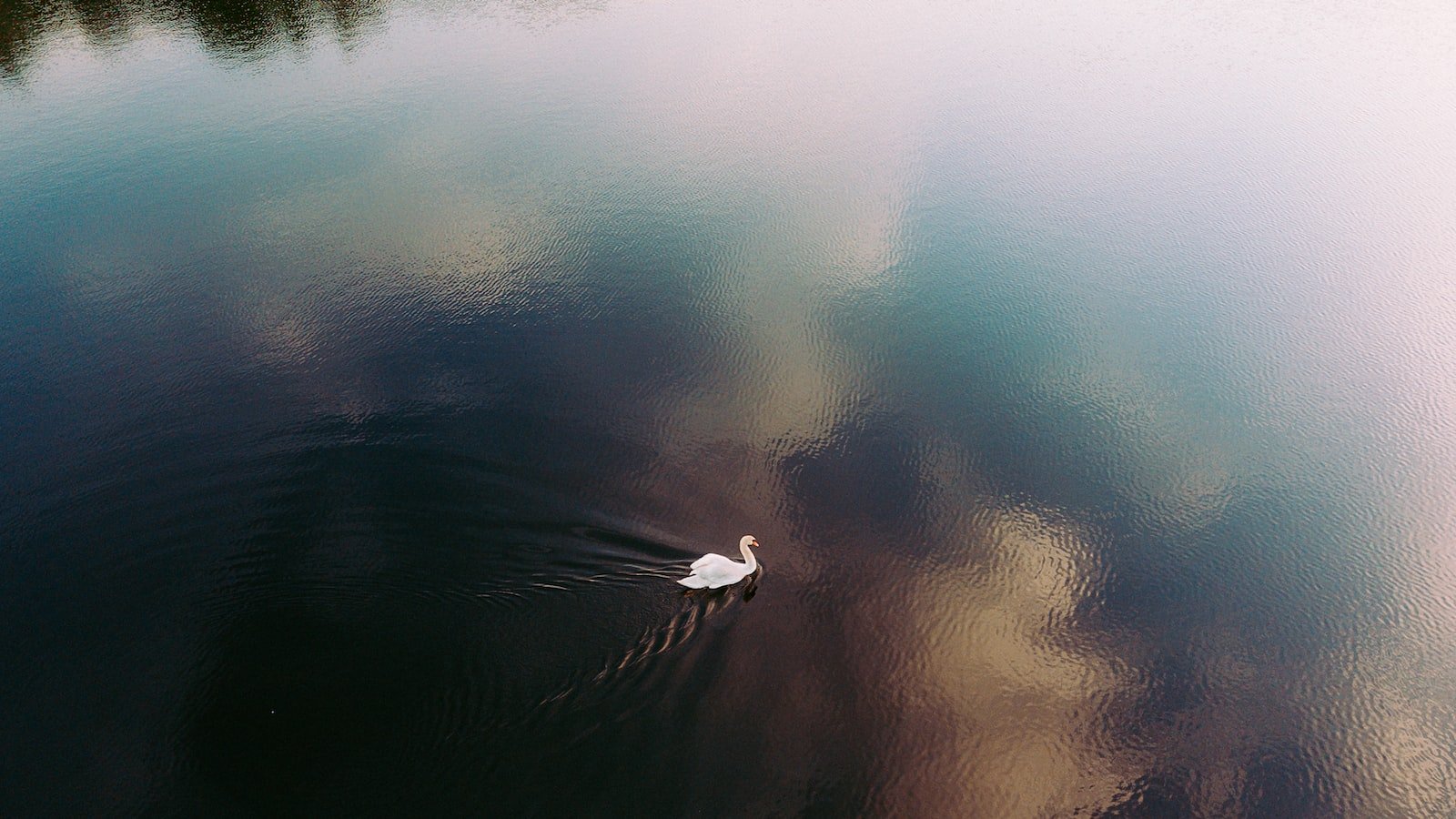 Unlocking Inner Confidence: Psychological Approaches to Amplifying Size