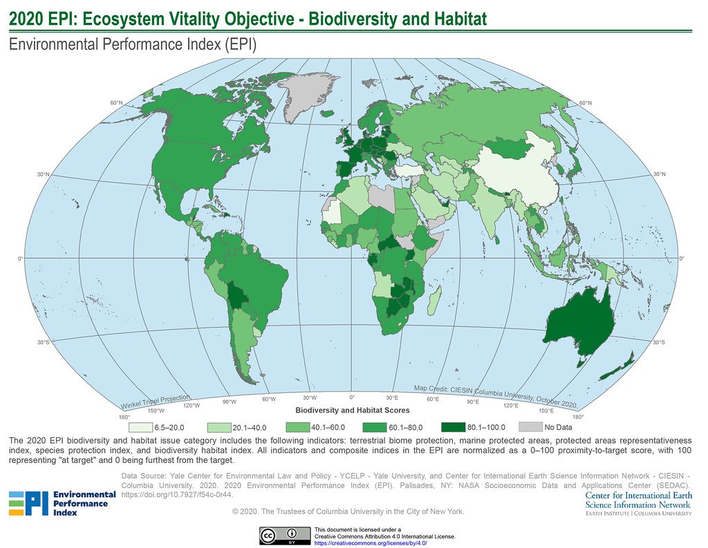 Unveiling the Secrets to Optimal Vitality: Exploring the Key Factors