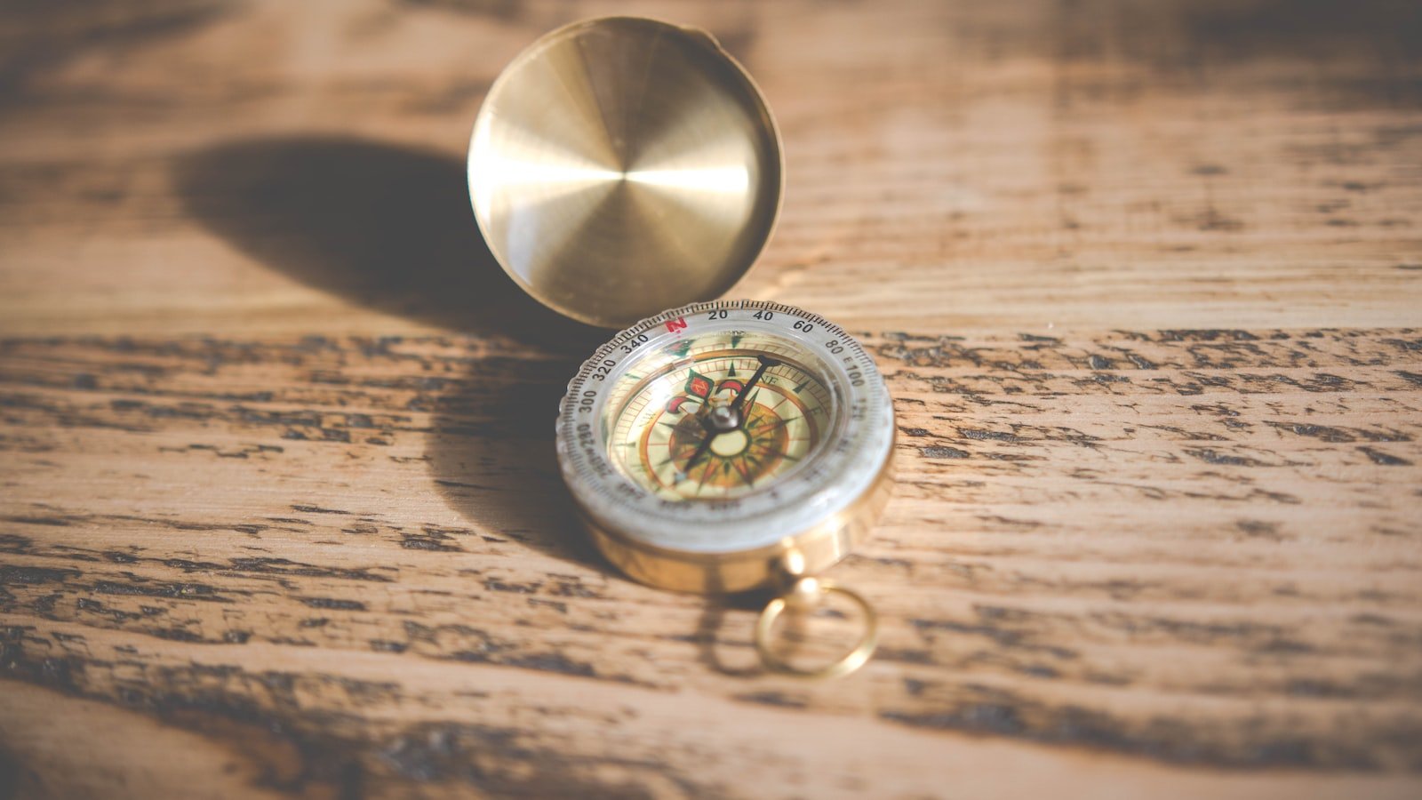 The Journey to Excellence: Nurturing Growth through Subtle Transformation