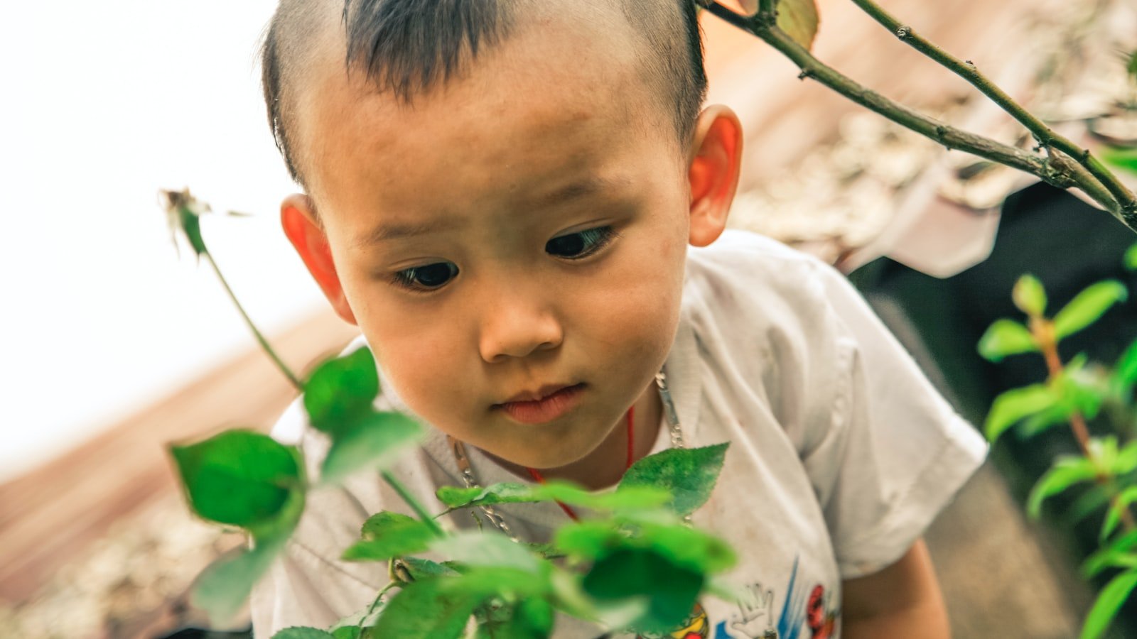 Unleashing Curiosity: Surprising Perspectives and Provoking Insights