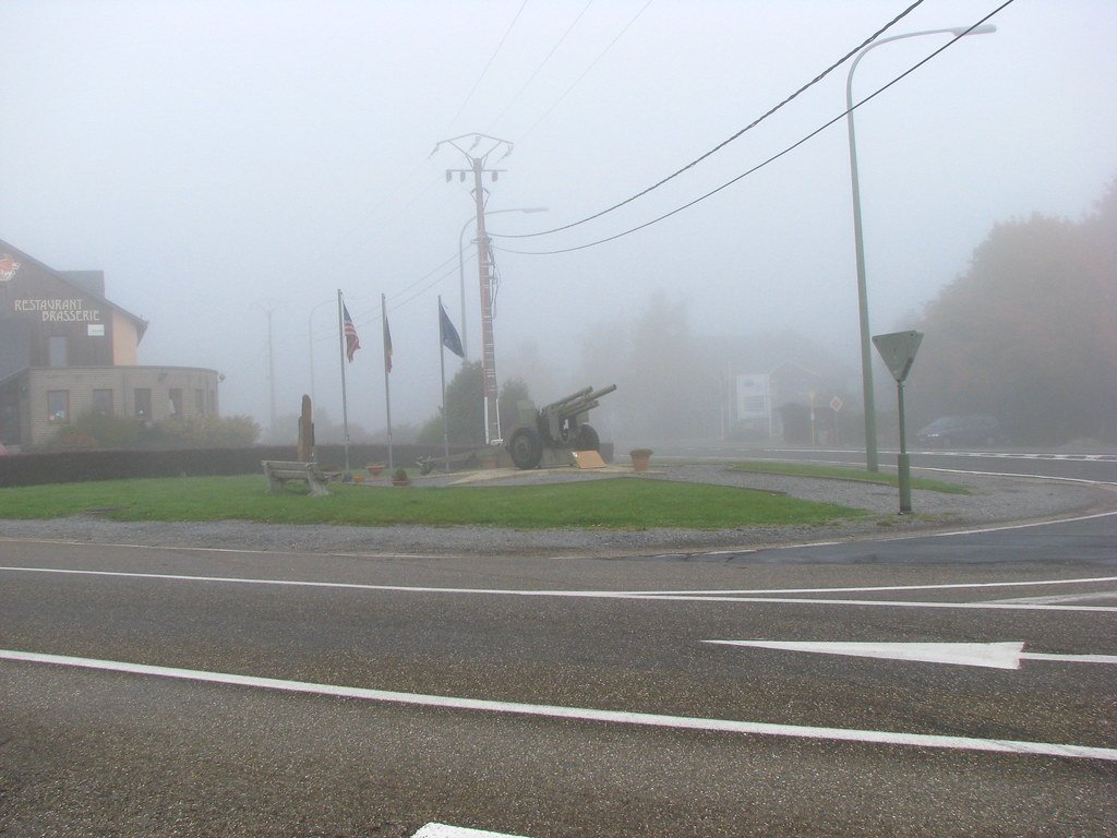 Appreciating Beauty in All Forms: Embracing and Empowering the⁤ 