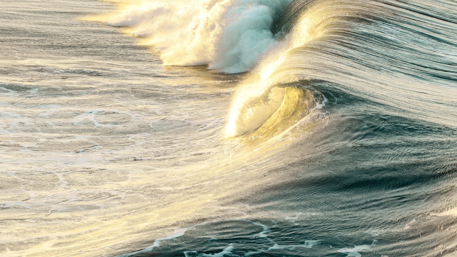 Unveiling the Science Behind the Graceful Swell: An In-depth Analysis of the Enigmatic Phenomenon