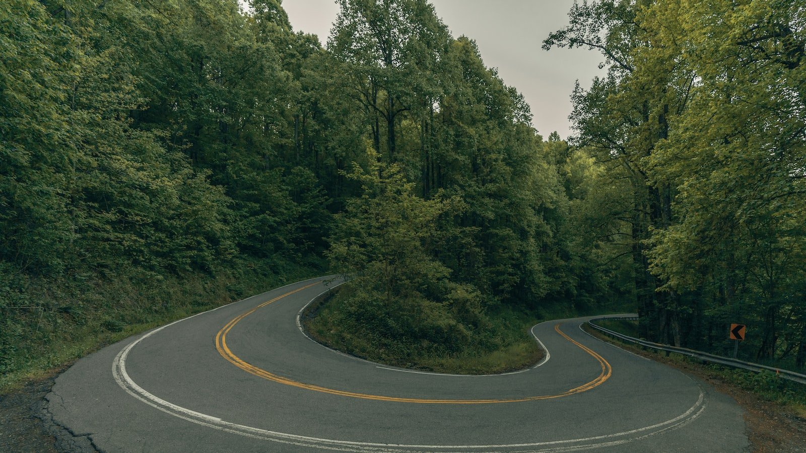 Creating a Vibrant Bulge-Friendly Environment: Practical Tips for Cultivating Bulges